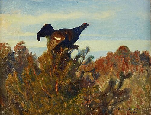 Black Grouse, 1894, Bruno Liljefors