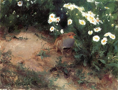 Partridge with Daisies, 1890, Bruno Liljefors