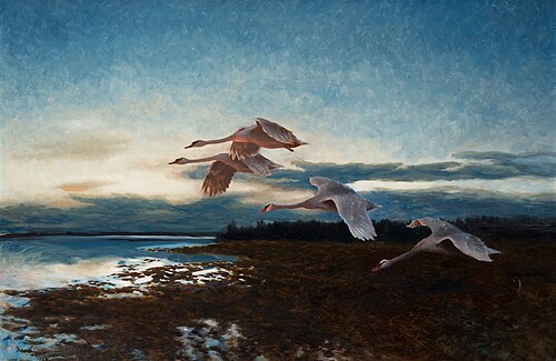 Swans, 1924, Bruno Liljefors