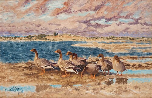 Resting Geese, 1915, Bruno Liljefors