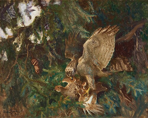 Bird of prey strikes prey, 1919, Bruno Liljefors