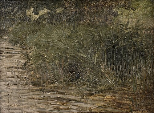 Snipe in reed, 1906, Bruno Liljefors