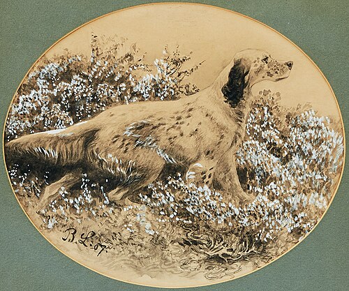 Setter, 1907, Bruno Liljefors