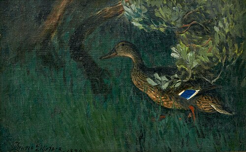 Mallard in greenery, 1899, Bruno Liljefors