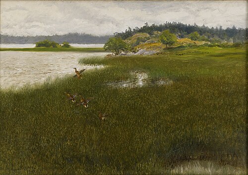 Ducks taking off, 1908, Bruno Liljefors