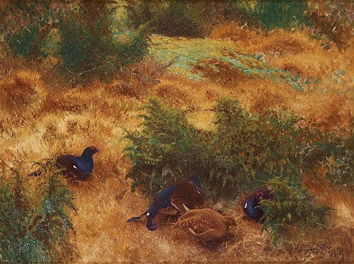 Autumn landscape with black grouse, 1910, Bruno Liljefors