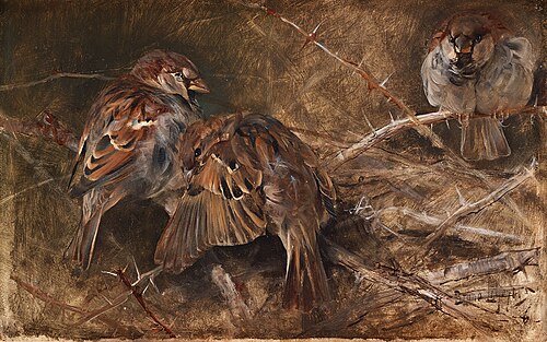 House sparrows among the thorns, 1886, Bruno Liljefors