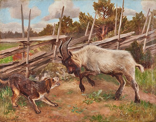Headbutting Goat, 1896, Bruno Liljefors