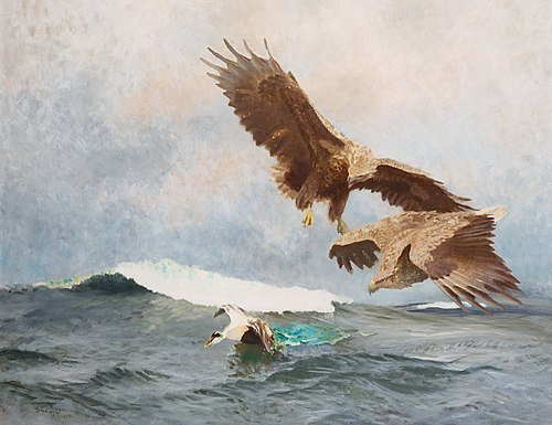 Havsörnar jagande en ejder, 1924, Bruno Liljefors