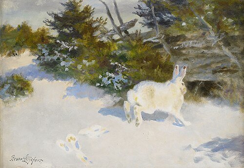 Hare in winter landscape, , Bruno Liljefors