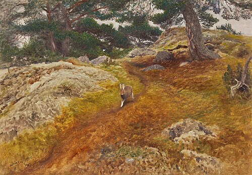 Hare in forest landscape, 1907, Bruno Liljefors