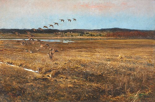 Fällande vildgäss, 1892, Bruno Liljefors