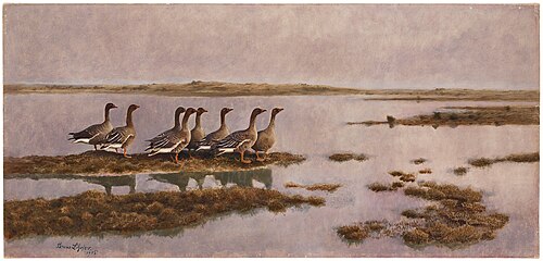Geese in Wetlands, 1905, Bruno Liljefors