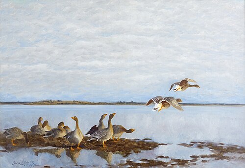 Geese, 1922, Bruno Liljefors