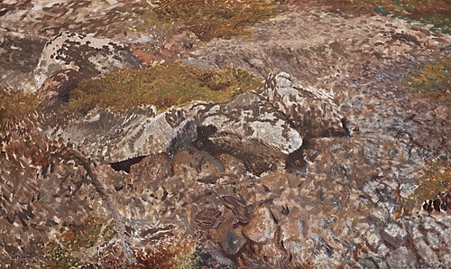 Snake terrain, 1914, Bruno Liljefors