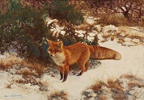 Fox in winter forrest, 1911, Bruno Liljefors