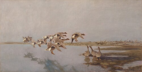 Greylag geese, 1906, Bruno Liljefors