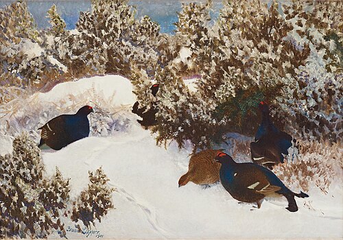 Black Grouse in winter landscape, 1911, Bruno Liljefors