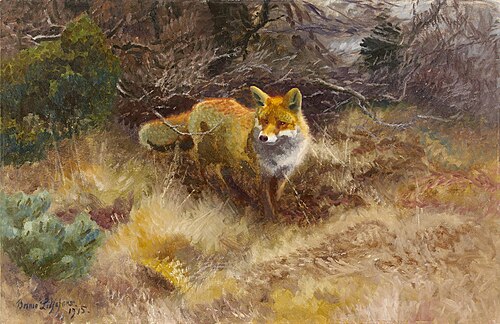 Fox and landscape, 1915, Bruno Liljefors