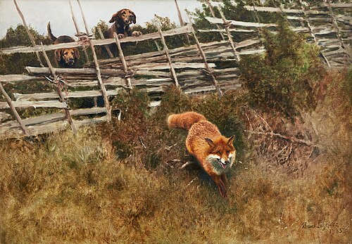Fox hunted by dogs, 1905, Bruno Liljefors