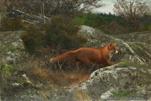 Fox in autumn landscape, 1902, Bruno Liljefors