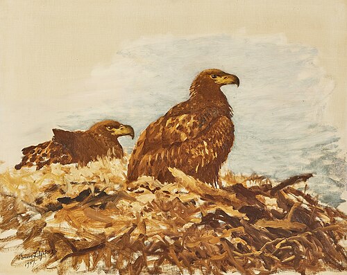 Young white-tailed eagles, 1907, Bruno Liljefors
