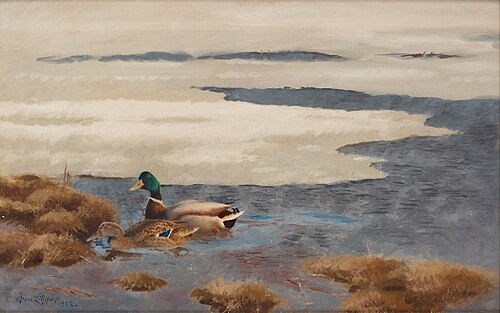 Winter landscape with mallards, 1922, Bruno Liljefors