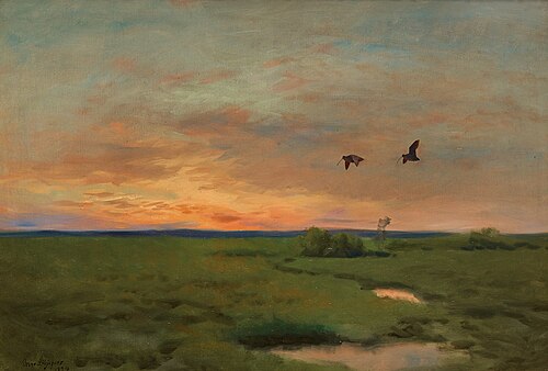 Godwit meadow, 1924, Bruno Liljefors
