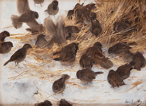 Sparrows at oat sheaf, 1892, Bruno Liljefors