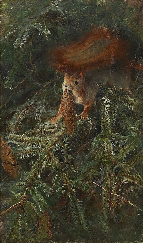 Squirrel, 1886, Bruno Liljefors