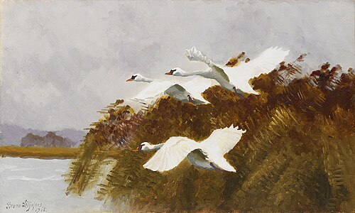 Stretching swans, 1915, Bruno Liljefors