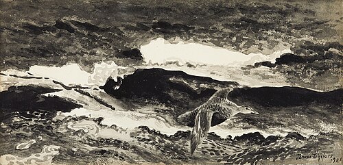 Stretching female eider, 1901, Bruno Liljefors