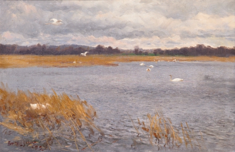Swans at water course, 1892, Bruno Liljefors