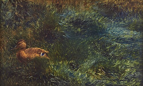 Wild duck, 1907, Bruno Liljefors