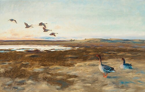 Bean geese, 1921, Bruno Liljefors