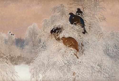 Winter picture with black grouse, 1909, Bruno Liljefors