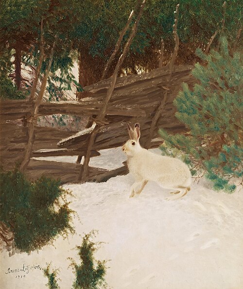 Winter hare, 1910, Bruno Liljefors
