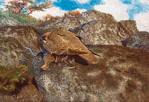 Ung pilgrimsfalk med ung rapphöna, 1911, Bruno Liljefors