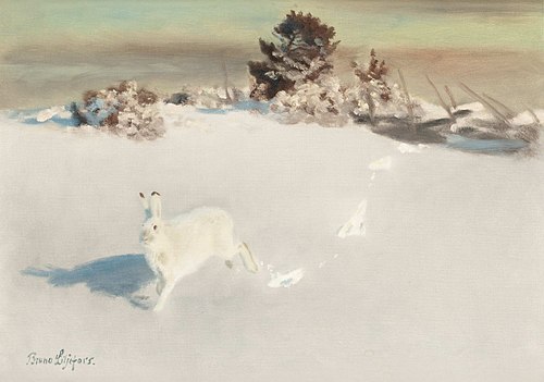 Vinterhare vid gärdesgård, , Bruno Liljefors
