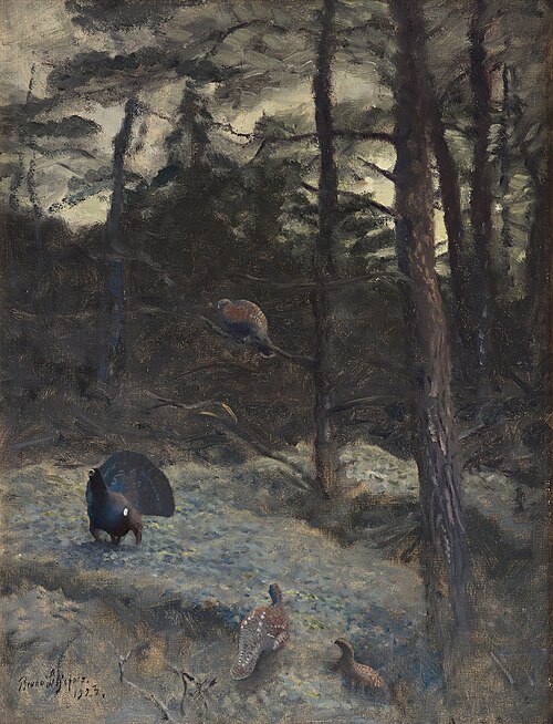 Lekking western capercaillie, 1923, Bruno Liljefors