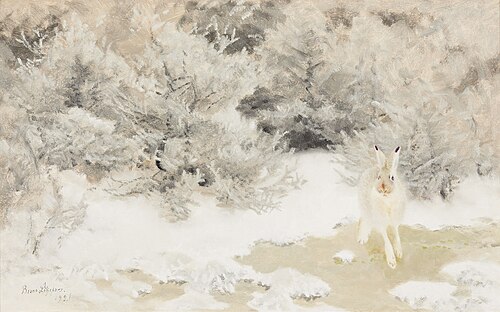 Winter hare, 1921, Bruno Liljefors