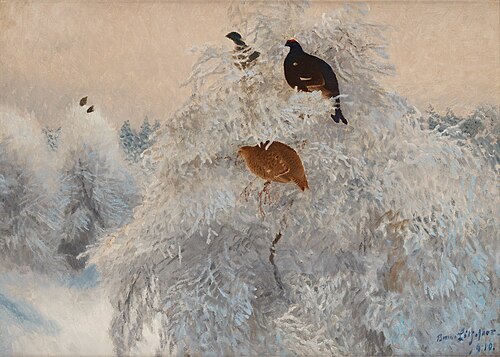 Winter white treetops with black grouse, 1910, Bruno Liljefors