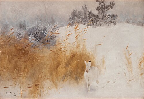 Winter hare, 1928, Bruno Liljefors