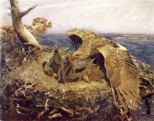 Sea Eagle's Nest, 1907, Bruno Liljefors