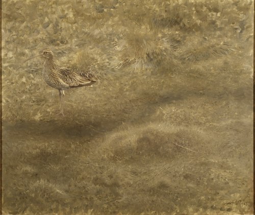 Curlew, 1907, Bruno Liljefors