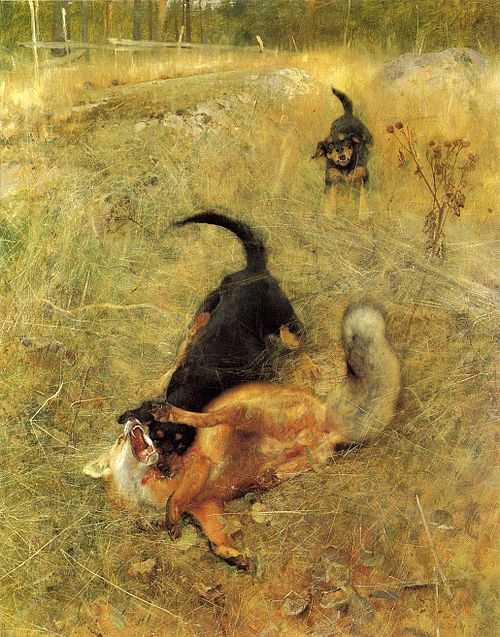 Swedish Foxhound and Fox, 1885, Bruno Liljefors