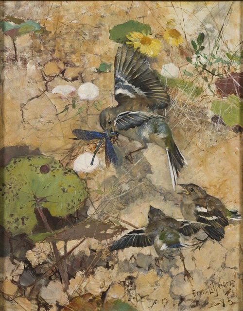 Chaffinches and Dragonflies. Five studies in one frame, NM 2223-2227, 1885, Bruno Liljefors