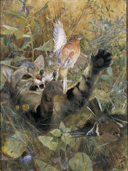 A Cat and a Chaffinch. Five animal studies in one frame, NM 2223-2227, 1885, Bruno Liljefors