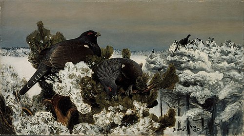 Capercaillies in a Winter Landscape, 1899, Bruno Liljefors