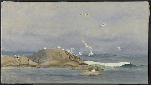 Zilvermeeuwen en sterns op de scheren voor de Scandinavische kust, 1923, Bruno Liljefors